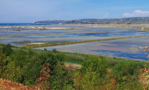 Sečovlje Salina - Salt Pans - National Park